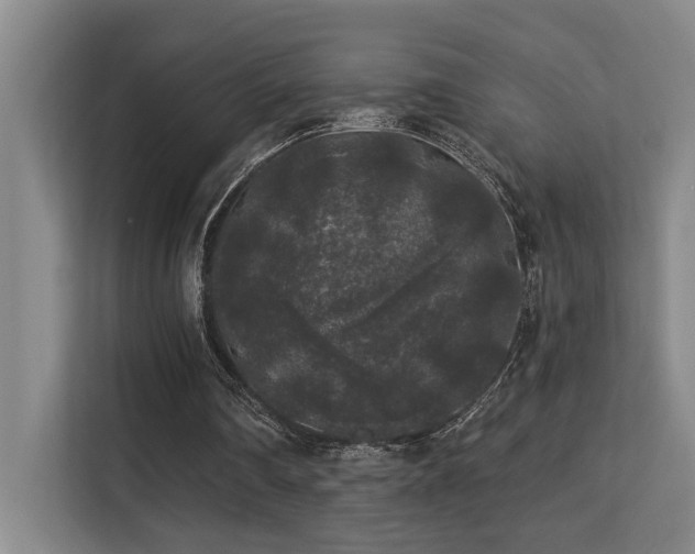 X0000113270290200909101524