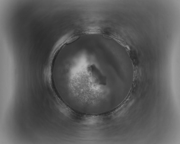 X0000113270293200909101524