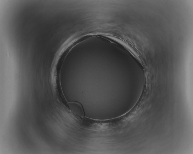 X0000113270295200909101524