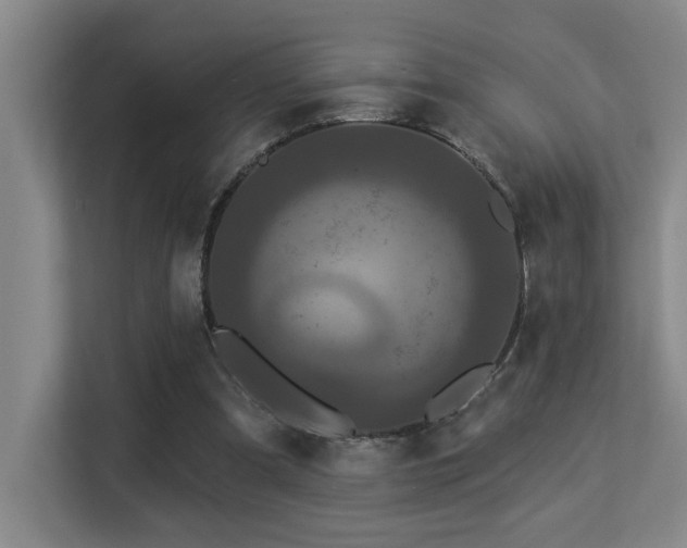 X0000113270297200909101524
