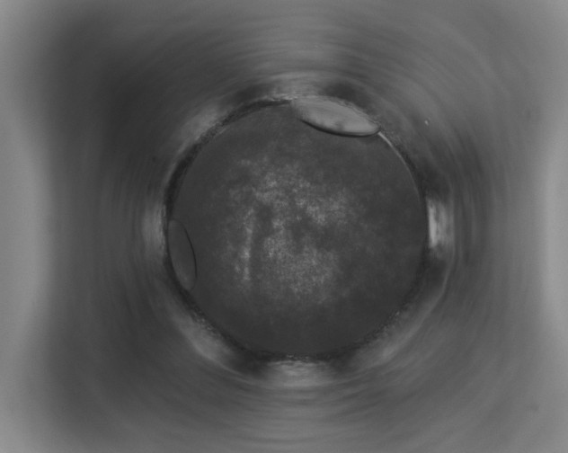 X0000113270300200909101524