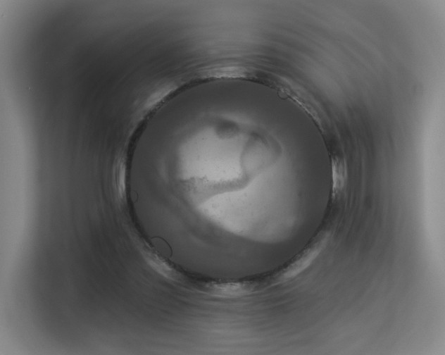 X0000113270301200909101524