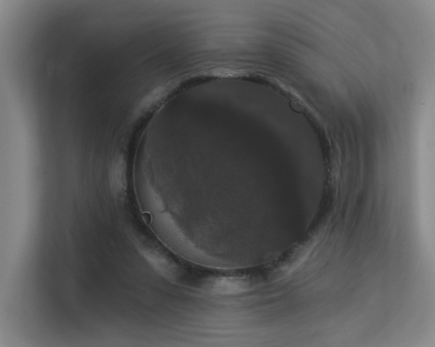 X0000113270303200909101524