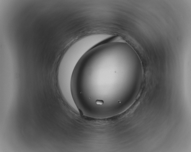 X0000113270305200909101524