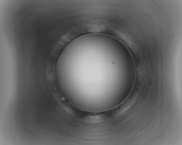 X0000113270307200909101524