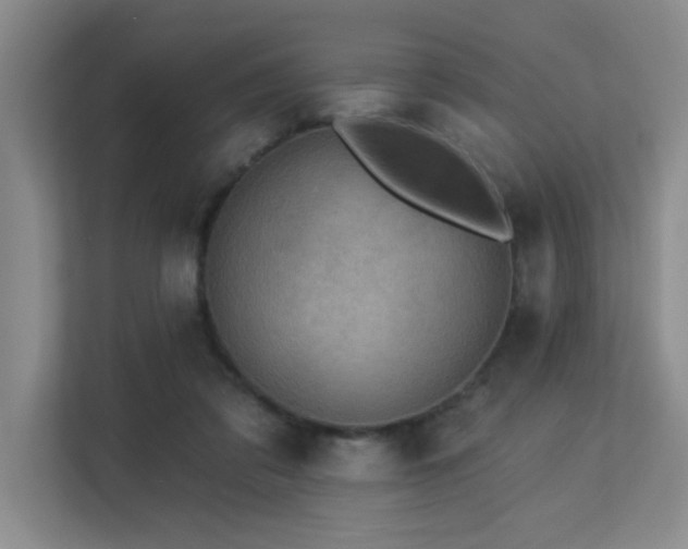 X0000113270309200909101524