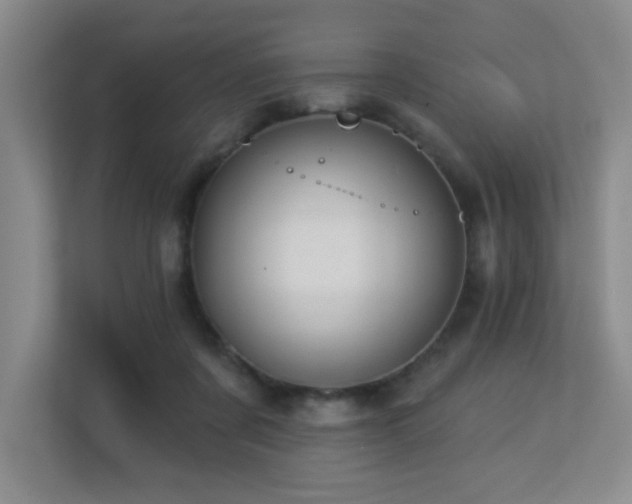 X0000113270311200909101524