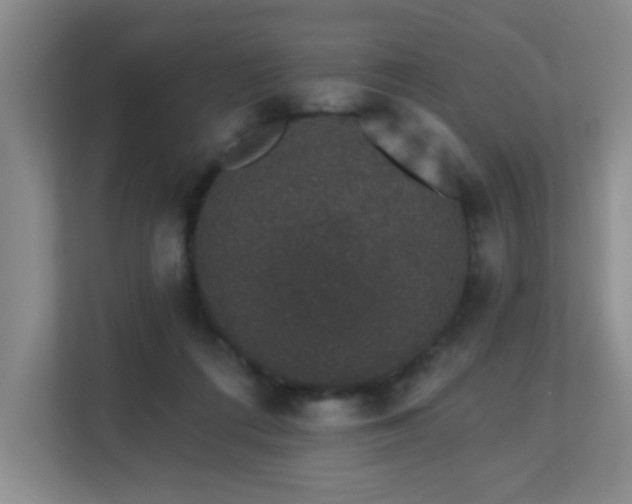 X0000113270312200909101524