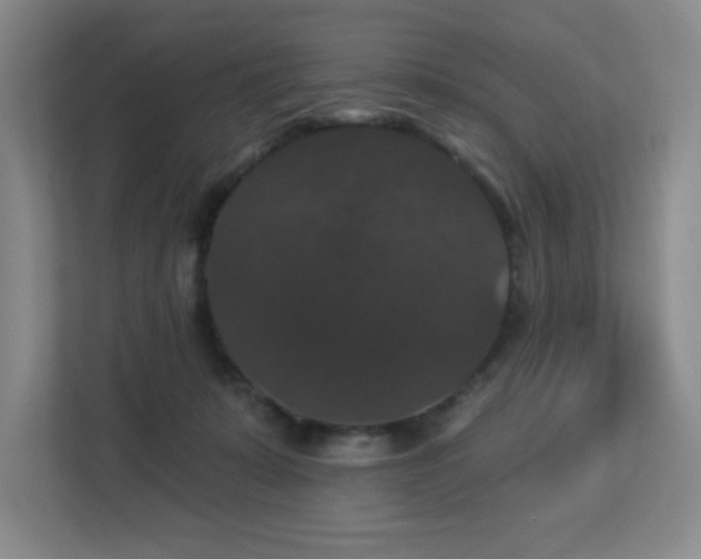 X0000113270319200909101524