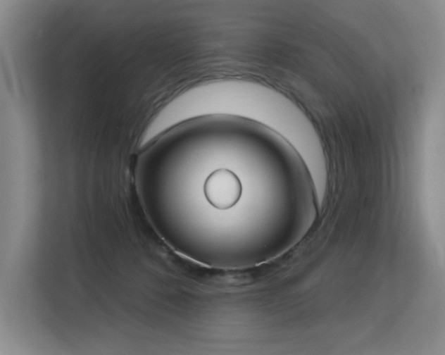 X0000113270320200909101524