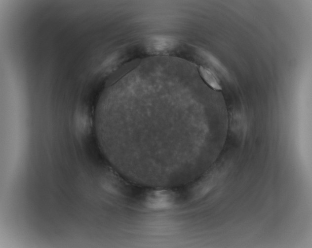 X0000113270324200909101524