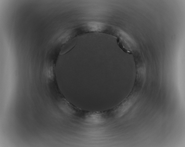X0000113270325200909101524