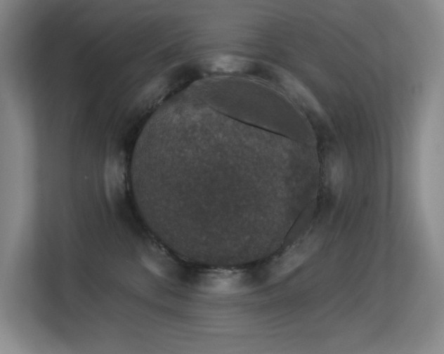 X0000113270328200909101524