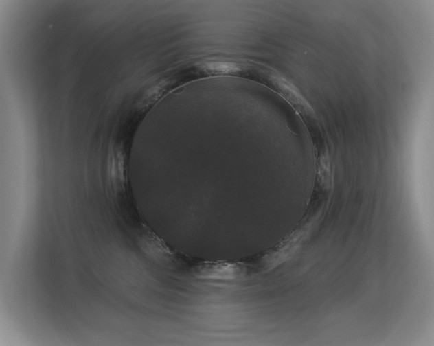 X0000113270330200909101524