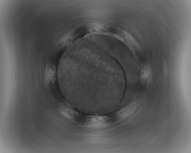 X0000113270332200909101524