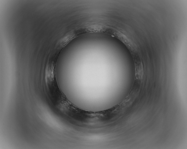 X0000113270334200909101524