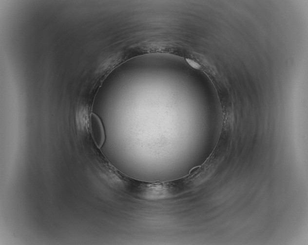 X0000113270335200909101524