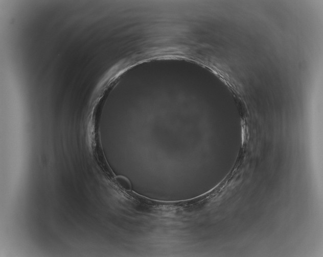 X0000113270339200909101523