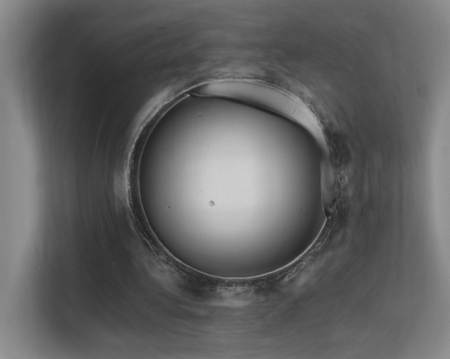 X0000113270340200909101523