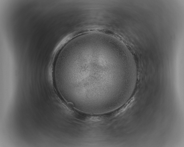 X0000113270341200909101523