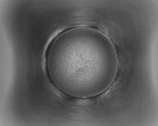 X0000113270342200909101523