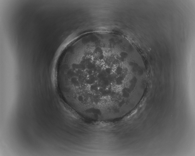 X0000113270343200909101523