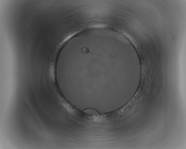X0000113270345200909101523
