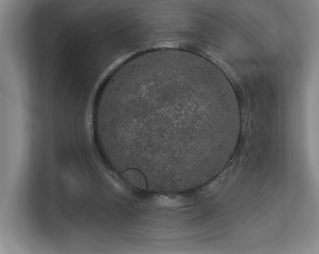 X0000113270346200909101523
