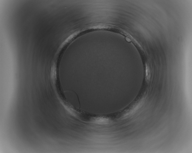 X0000113270348200909101523