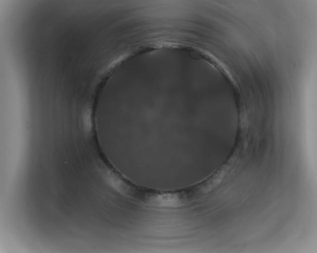 X0000113270353200909101523