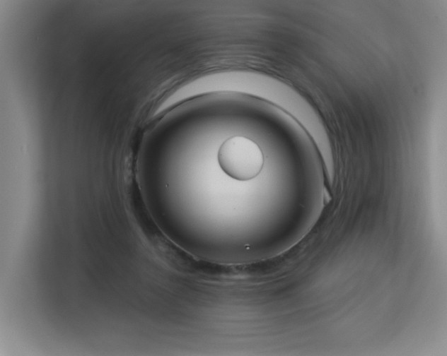 X0000113270356200909101524