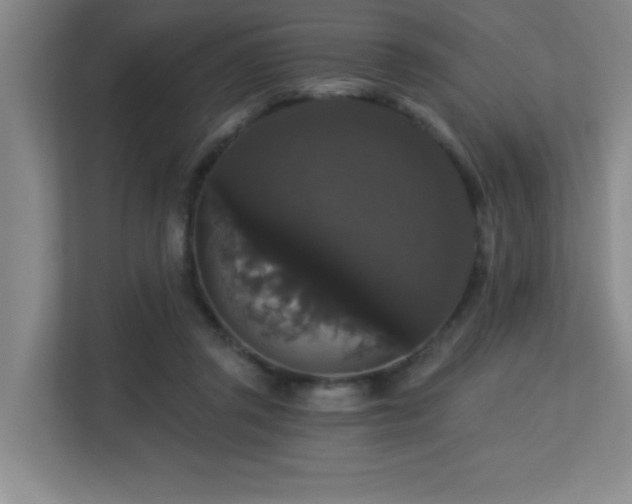 X0000113270357200909101524