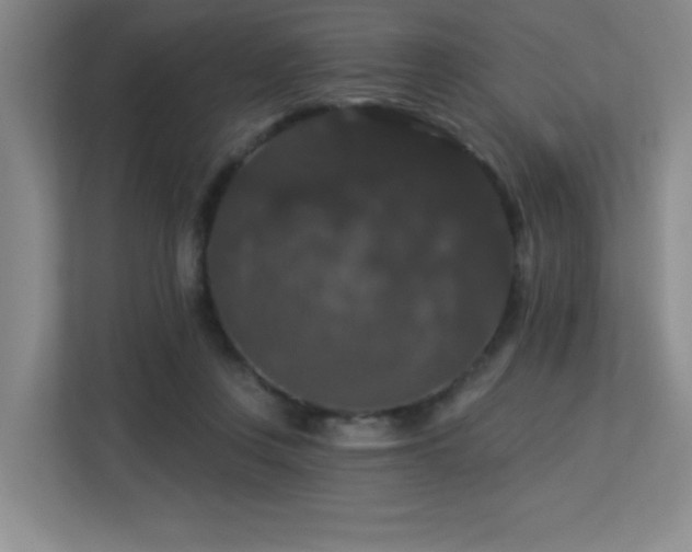 X0000113270359200909101524