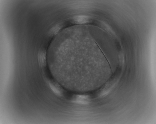 X0000113270360200909101524