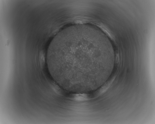 X0000113270363200909101524