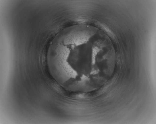 X0000113270365200909101524
