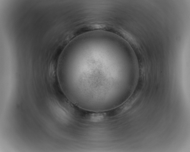 X0000113270373200909101524