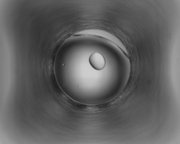 X0000113270376200909101524