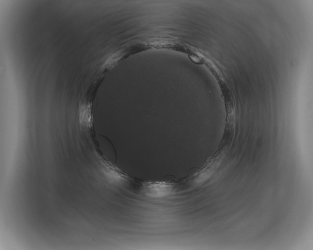 X0000113270383200909101524