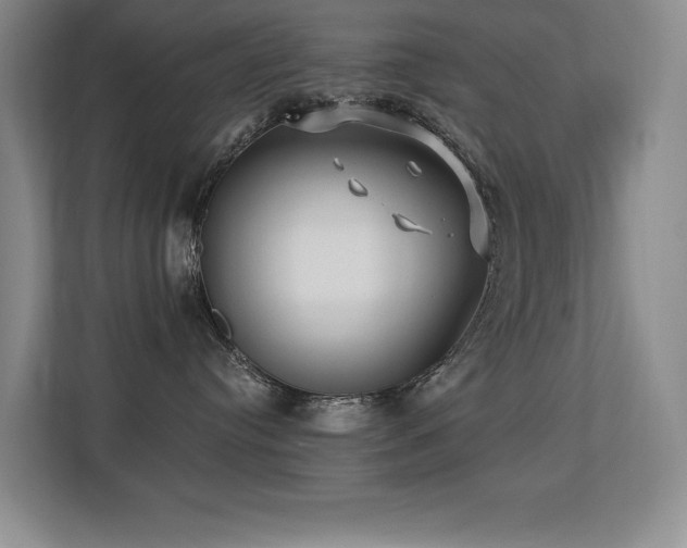 X0000113270384200909101524