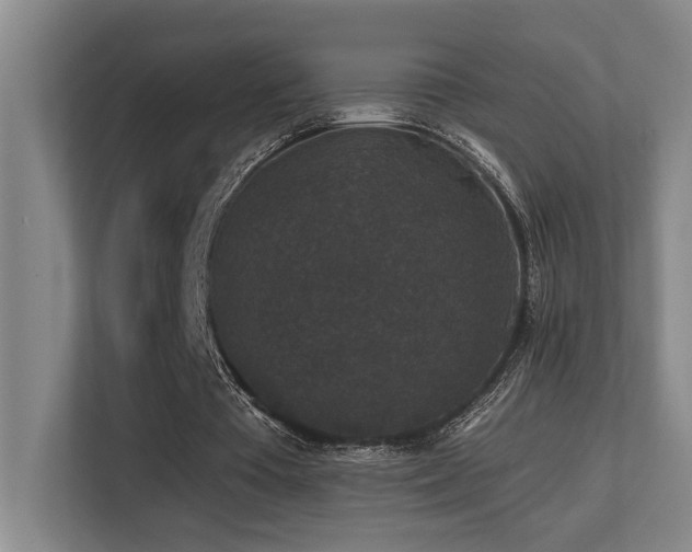 X0000113270385200909101523