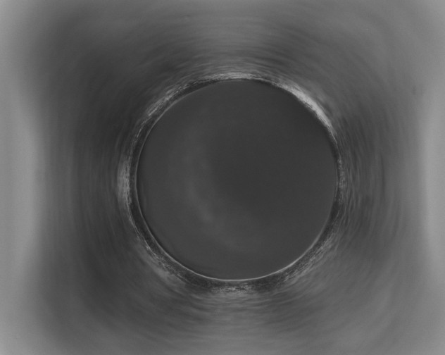 X0000113270386200909101523