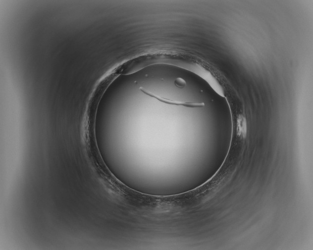 X0000113270388200909101523