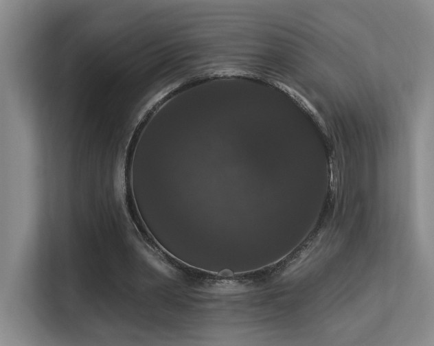 X0000113270390200909101523