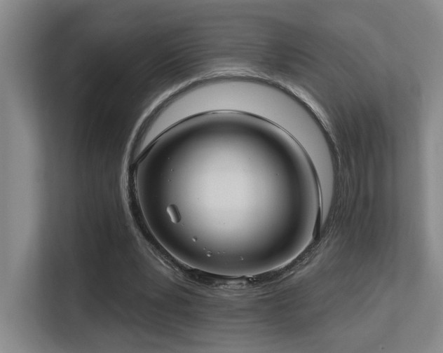 X0000113270391200909101523