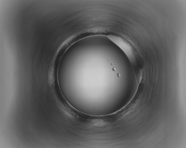 X0000113270392200909101523