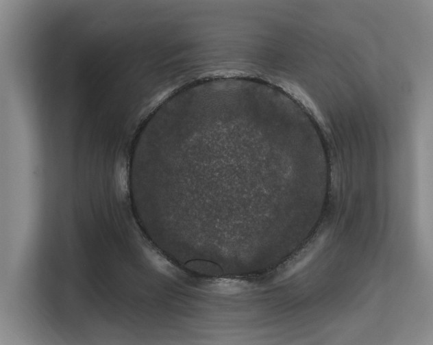X0000113270393200909101523