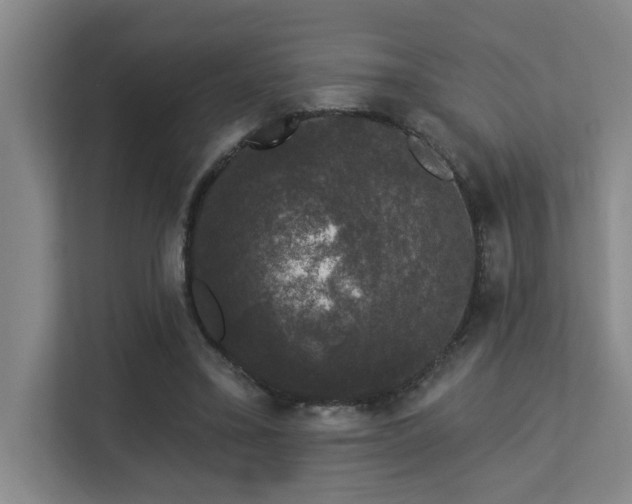 X0000113270395200909101523