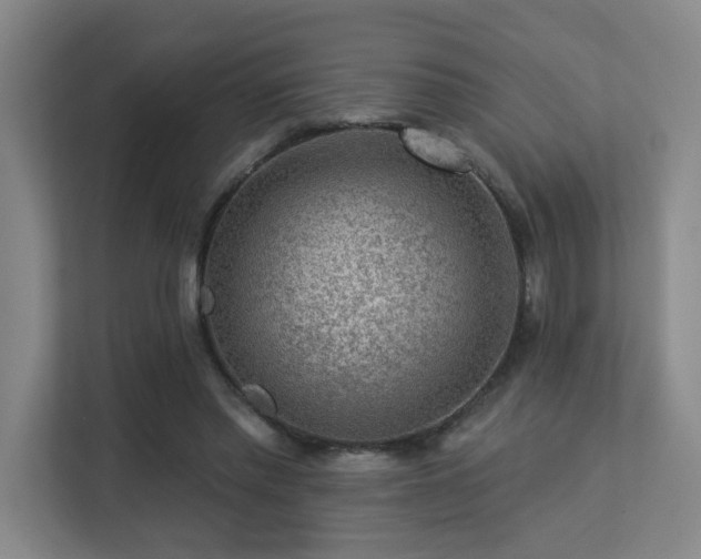 X0000113270397200909101523