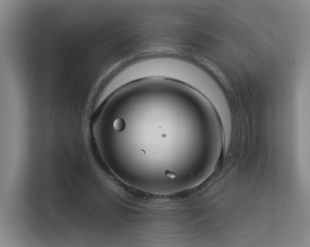 X0000113270399200909101523